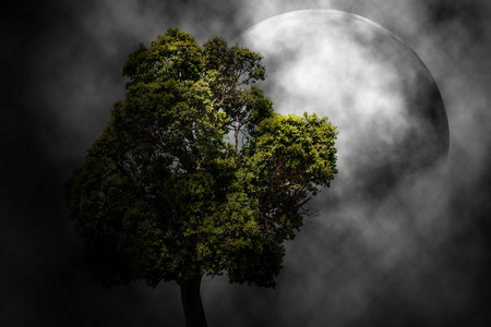 Green tree and full moon in the night scary background.の写真素材