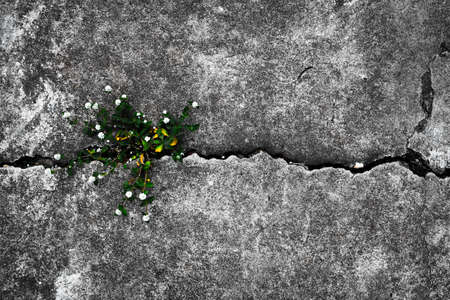 Crack cement road texture background.