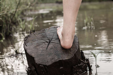 Foot on stump in river.の写真素材