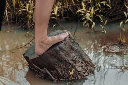 Foot on stump in river close up.の写真素材