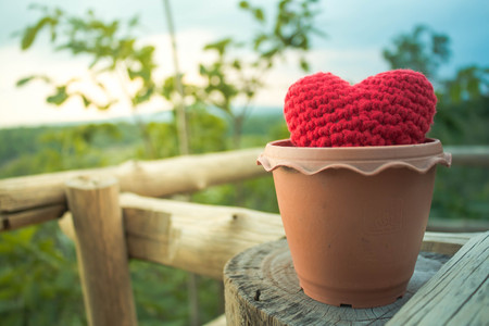 Grow love with nature, Concept love nature.の写真素材