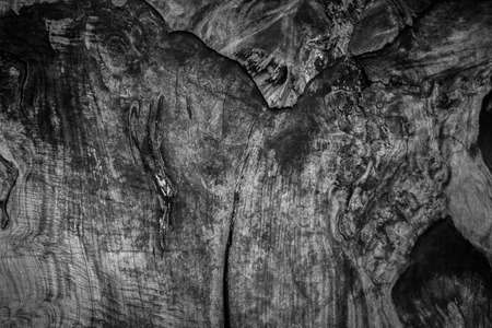 Black wood textured background, Concept wood textured.の写真素材