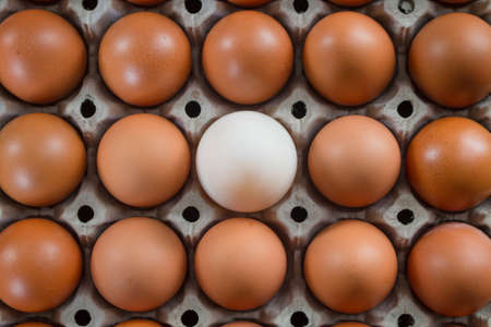 Duck egg are different from chicken eggs.の写真素材