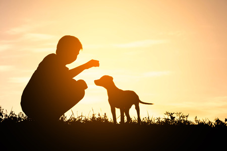 Silhouette child playing with dogs, Concept play with dog.の写真素材