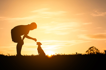 Silhouette child playing with dogs, Concept play with dog.の写真素材
