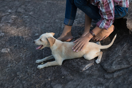 Girl travel with dog, Concept travel with dog.の写真素材