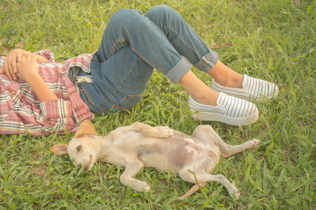 Girl happy travel with dog, Concept travel with dog.の写真素材