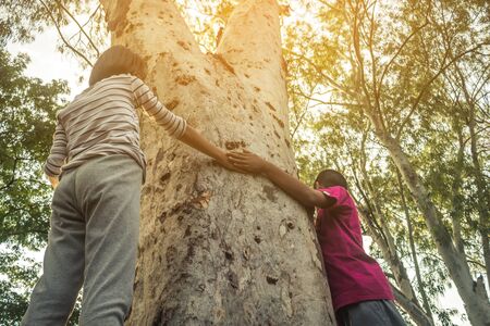 Children embrace the tree as a symbol of love for the forest, Concept love the tree.の写真素材
