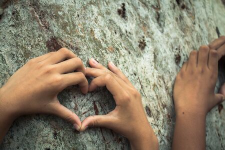 Children embrace the tree as a symbol of love for the forest, Concept love the tree.の写真素材