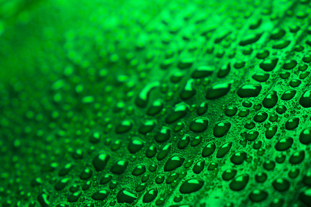 Water drops on a green banana leaf background.の写真素材
