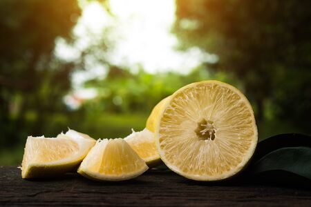 Lemon yellow in a natural green background.