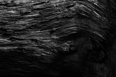 Black wooden texture background.の写真素材