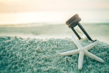 Starfish on the sea white sand.の写真素材