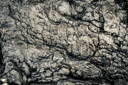 Stone texture  background.の写真素材