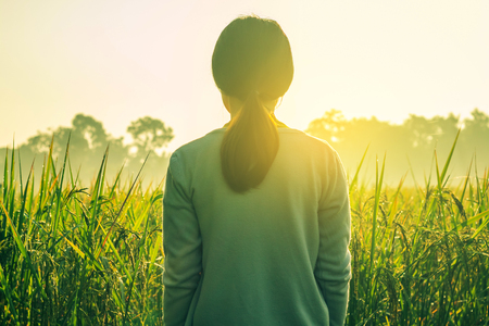 Woman in the morning rice field.の写真素材