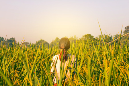 Woman in the morning rice field.の写真素材