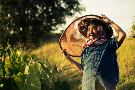Grandma looking for fish, Concept Thai farmers lifestyle.の写真素材