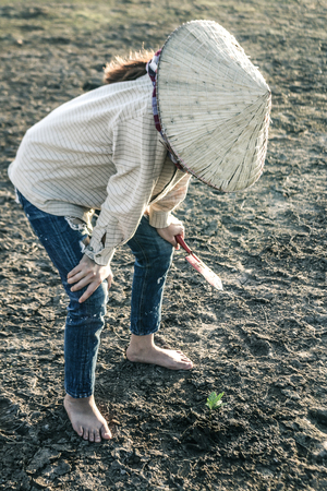 Woman planted a tree on a drought-stricken land in hopes of recovering the forest, Drought crisis concept.の写真素材