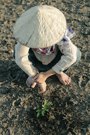 Woman planted a tree on a drought-stricken land in hopes of recovering the forest, Drought crisis concept.の写真素材