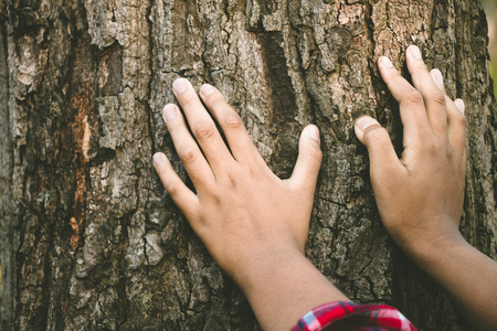 Children who love the forest.の写真素材