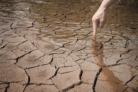 The hands of women on the arid soil, the shortage of water, Concept drought crisis environment.の写真素材