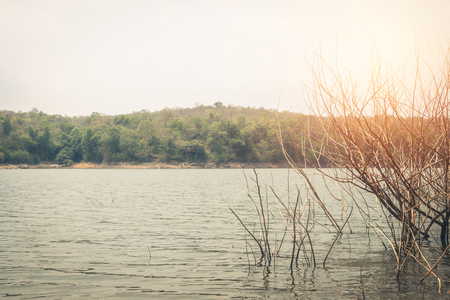 Rivers and mountains nature landscape.の写真素材