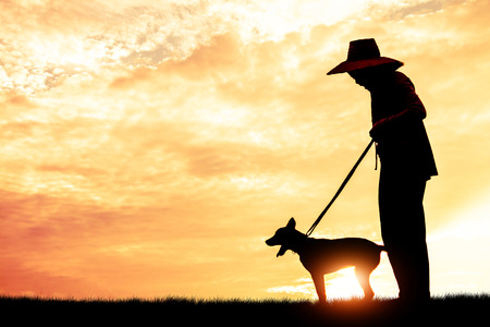 Silhouette child playing with dogs, Concept play with dog.の写真素材