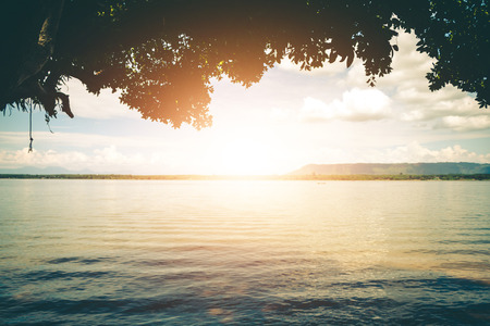 The atmosphere of a beautiful tree river landscape.の写真素材