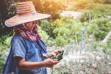 His grandmother used taplet and modern technology to work in agriculture.の写真素材