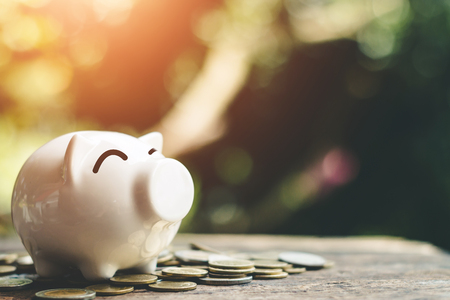 Piggy bank coins with money stack step growth saving money, Concept finance business investmentの写真素材