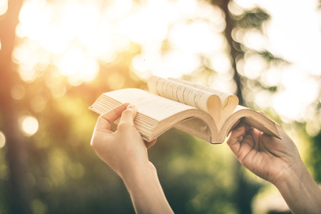 Women read books in quiet nature, concept read a books.の写真素材