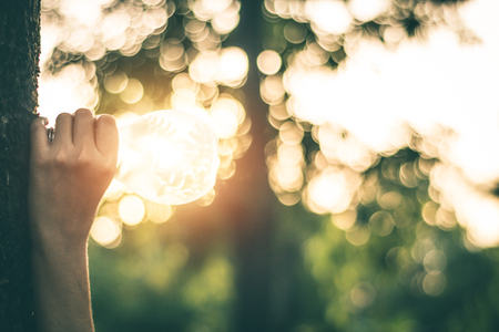 Handles light bulbs that are made of natural energy.の写真素材