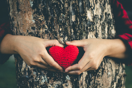 Woman hand heart who love the forest.の写真素材