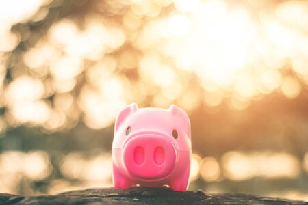Save money in pig pink for future use, Concept saving money for the future.の写真素材