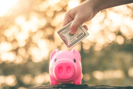 Save money in pig pink for future use, Concept saving money for the future.の写真素材