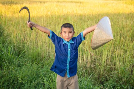 Child farmer is harvesting rice in Thailand.の写真素材
