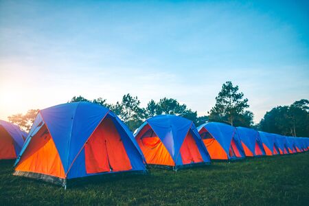 Sunshine in the morning with a camping in the woods.の写真素材