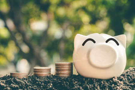 Saving money in pig bank for future use, Concept saving money for the future.の写真素材