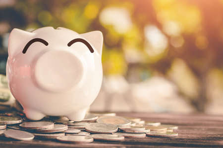 Saving money in pig bank for future use, Concept saving money for the future.の写真素材