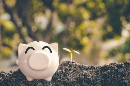Saving money in pig bank for future use, Concept saving money for the future.の写真素材