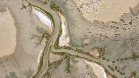 Aerial View of Salt Flats with Tidal Channelの写真素材