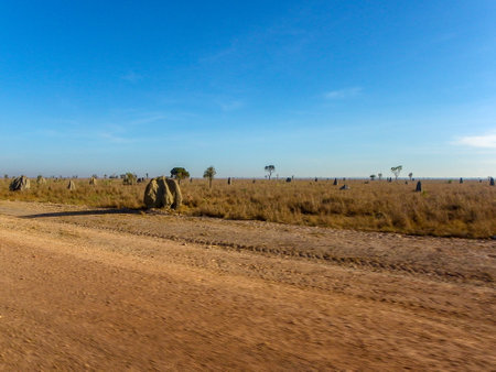 A breathtaking and scenic rural landscape featuring hay bales set beneath a clear blue skyの写真素材