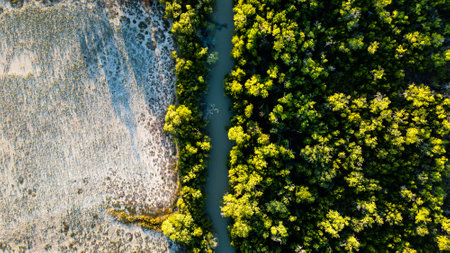 Breathtaking Aerial View of the Shoreline Surrounded by Lush Greenery and Natures Beautyの写真素材