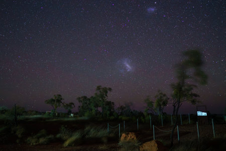 Astrophotography of the Milky Way with Trees