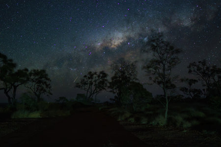 Astrophotography of the Milky Way with Treesの写真素材