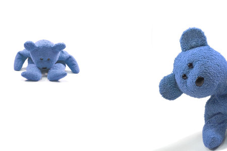 Two bears looking naughty against a white backgroundの写真素材
