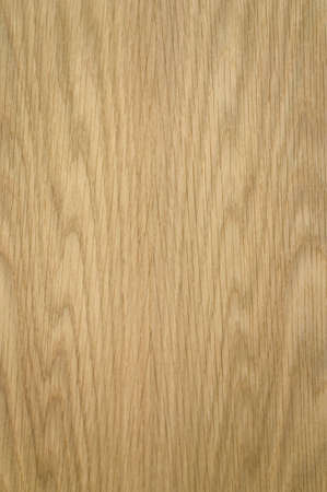Section of white oak wood suitable for backgroundsの写真素材
