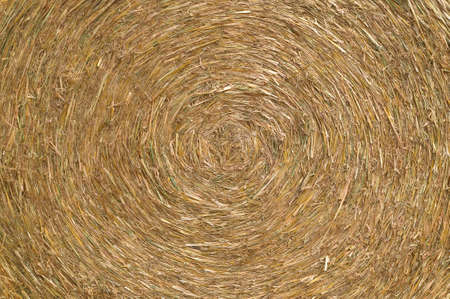 Close up of a circular hay bale.の写真素材