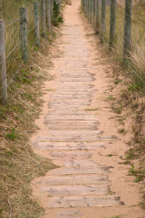 Wooden path leading to the beach, shallow DOFの写真素材