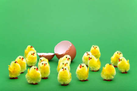 Freshly hatched toy easter chicks on a green backgroundの写真素材